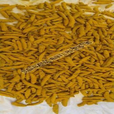 Solid Whole Spice Broken Seed 5 Percent Rich Natural Taste Healthy Dried Yellow Baba 777 Turmeric Finger