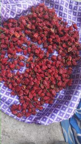 Red Natural Dry Dalla Chilli For Food Spices From Darjeeling Himalayan Regions