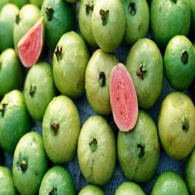 Total Carbohydrate 14G Sweet Delicious Rich Natural Taste Healthy Green Fresh Guava Origin: India