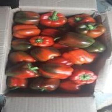 Natural Fine Rich Taste Healthy Fresh Red Capsicum For Cooking Shelf Life: 5-7 Days