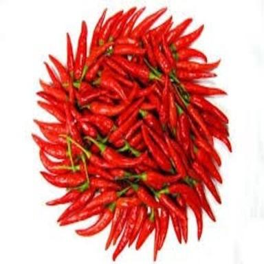 Solid Whole Spice Spicy Natural Taste Rich In Color Healthy Fresh Red Chilli
