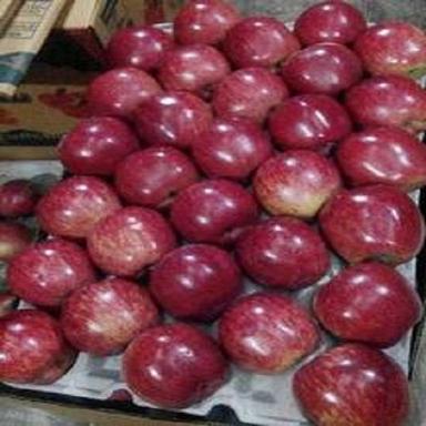 Sweet Delicious Rich Natural Taste Healthy Red Indian Fresh Apples Origin: India