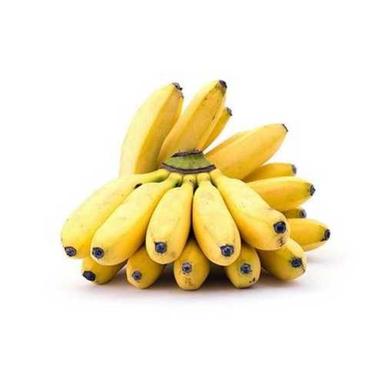Organic Yellow Fresh Elaichi Banana For Direct Consumption And Fruit Processing Origin: India