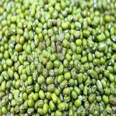Rich In Protein Natural Taste Dried Organic Green Whole Mung Beans Grain Size: Standard