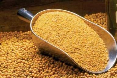 High Protein Yellow Color Dried Soybean Meal For Animal Feed, Fibre 4% Grade: Food