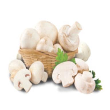 No Added Flavor Healthy Natural Rich Taste White Fresh Mushroom Origin: India