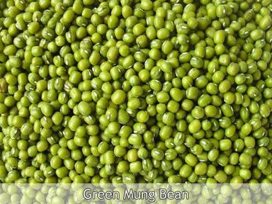 A Grade 100% Pure And Natural Whole Unpolished Green Gram Crop Year: 6 Months