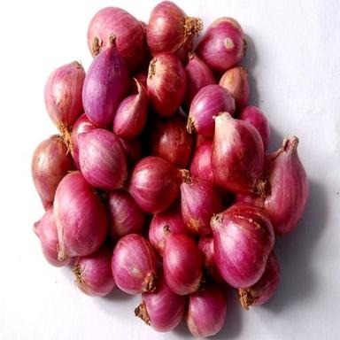 Round & Oval Enhance The Flavor Rich Healthy Natural Taste Small Fresh Red Onion