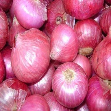 Round & Oval Rich Healthy Natural Taste Enhance The Flavor Big Fresh Red Onion