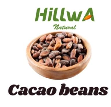Premium Quality Natural Cocoa Beans With Light Fragrance And High Nutritious Values