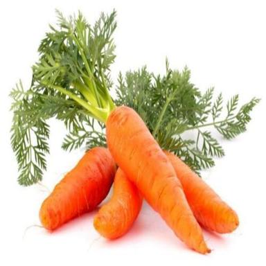 High Fiber Healthy Natural Rich Fine Taste Orange Fresh Carrot