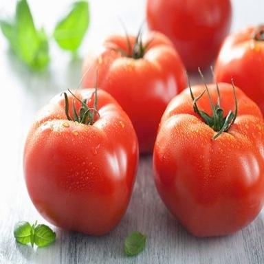 Round & Oval Chemical Free Mild Flavor Healthy Natural Taste Red Fresh Tomato