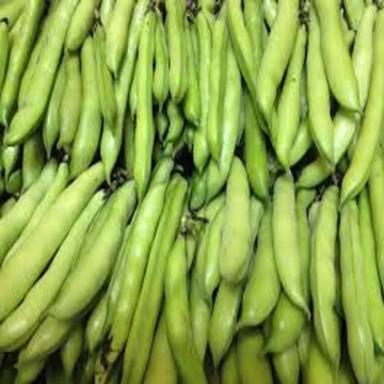 रासायनिक मुक्त स्वस्थ समृद्ध प्राकृतिक स्वाद हरी ताजा ब्रॉड बीन्स उत्पत्ति: भारत