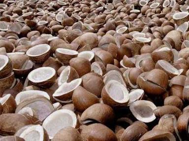  ब्राउन थोक मूल्य निर्यात गुणवत्ता मानव उपभोग के लिए सन ड्राई प्योर कोपरा नारियल 