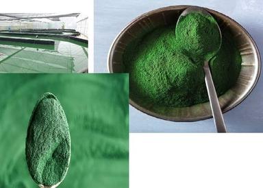 Herbal Product Gluten Free, No Gmo, Protein Rich, 100% Pure And Natural Spirulina Powder
