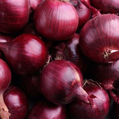 100% Pure And Organic Farm Fresh, Food Grade, Red Color Desi Onion Moisture (%): 86%