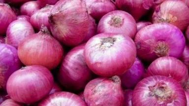 A Grade 100% Natural Organic Farm Fresh Red Onion For Human Consumption Moisture (%): 86%