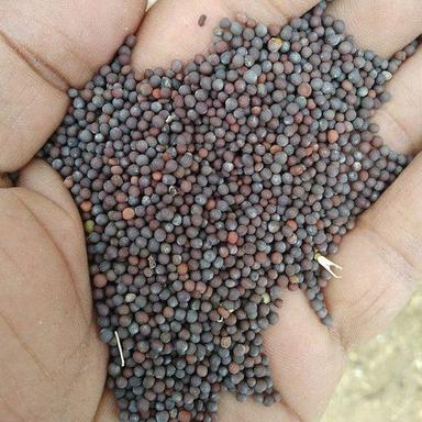 100% Natural And Pure A Grade Black Mustard Seeds Moisture (%): 1