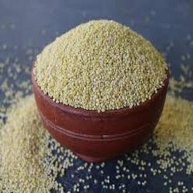 Pe Pesticide Free Healthy Natural Rich Taste Dried Organic Kodo Millet Seeds