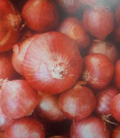 R Pesticide Free No Artificial Color Fresh Red Onion