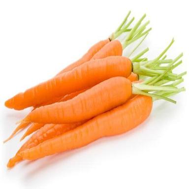 Long High Fiber Healthy Natural Rich Delicious Taste Orange Fresh Carrot