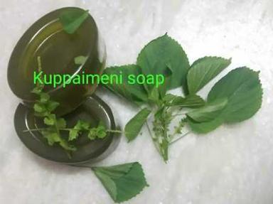 Green Natural And Herbal Handmade Kuppaimeni Bath Soap With Rich Insecticidal Properties