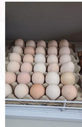 Good For Health, High In Protein White Chittagong Breed Chicken Egg For Restaurant, Mess, Household Shelf Life: 1 Week