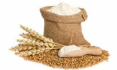 White 100% Natural Pure Wheat Flour For Breads, Pastries & Cookies Making