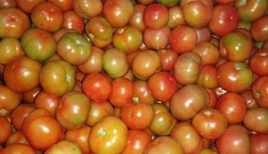 100% Natural And Fresh Round Shape Red Country Tomatoes Shelf Life: 1 Days