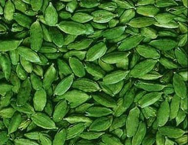 Cardamom Seed Steam Distilled Essential Oil For Perfumery, Flavor And Aromatherapy. Age Group: Adults
