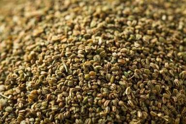 Natural Dried Celery Or Apium Graveolens / Carum Roxburghianum For Indian Spice Shelf Life: 12 Months