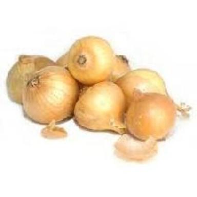 Round & Oval Enhance The Flavor Rich Healthy Natural Taste Fresh Yellow Onion