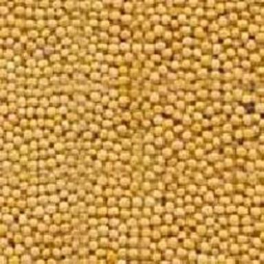 Healthy Natural Rich Fine Taste Chemical Free Organic Yellow Mustard Seeds