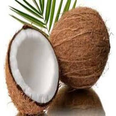 Organic Free From Impurities Natural Rich Taste Healthy Brown Fresh Coconut
