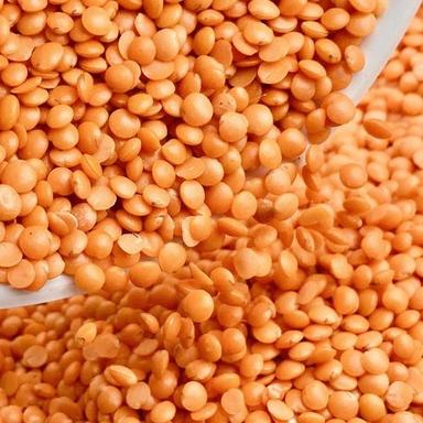 100% Pure Natural And Organic Cultivated Healthy Red Masoor Dal Crop Year: 2 Months