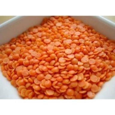 Easy To Cook Rich In Protein Natural Taste Organic Red Lentils Grain Size: Standard