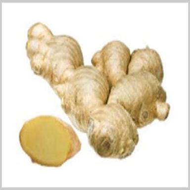 Elognated Fine Rich Healthy Natural Taste Chemical Free Brown Fresh Ginger