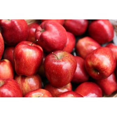 Common Wholesale Price Export Quality Premium Organic Red Color Apple Fruit