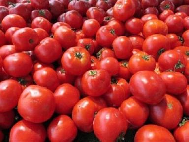 Round 100% Natural Pure And Fresh Organic Red Tomato, Vitamin E, And Vitamin C