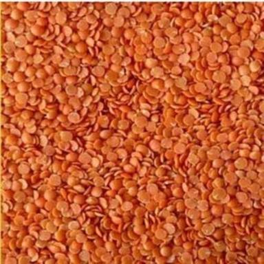 Easy To Digest Delicious Taste Rich In Vitamins Unpolished Organic Red Lentils Admixture (%): 2%