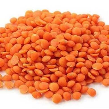 Healthy And Nutritious High In Protein Natures World Organic Red Masoor Dal Admixture (%): 2%
