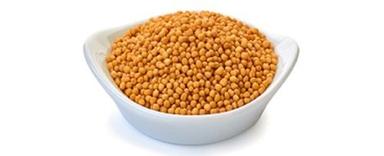 Yellow Health Friendly Dired Pure And Whole Organic Mustard Seeds (Sarso) Grade: Food Grade
