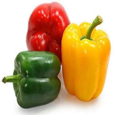 No Artificial Color Natural Rich Taste Chemical Free Healthy Fresh Capsicum