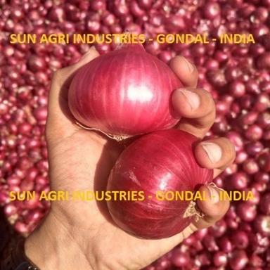 Round Fresh Organic Onion For Vegetables With 3 Months Shelf Life And Diameter 4-6 Cm