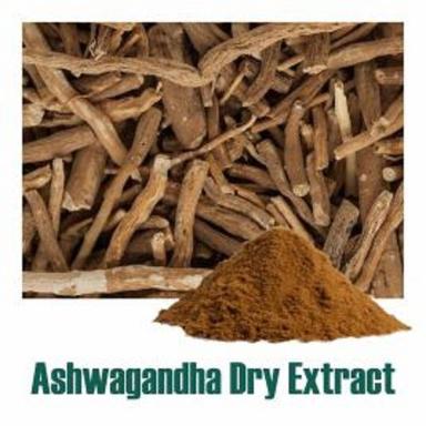 Herbal Product Withania Somnifera (Ashwagandha) Extract Dry Powder
