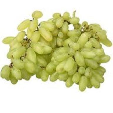 Organic Rich Potassium Medium Size 100% Pure Fresh And Natural Green Grapes