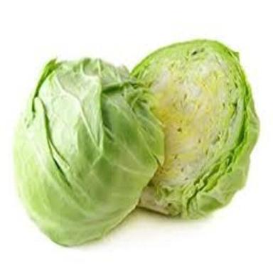 Round & Oval Floury Texture Healthy Rich Natural Fine Taste Organic Green Fresh Cabbage