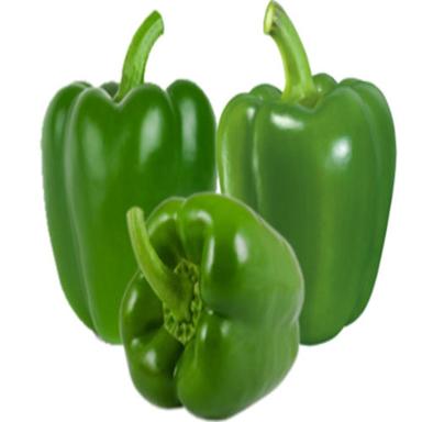 Natural Fine Rich Taste Chemical Free Healthy Green Fresh Capsicum Ingredients: Herbs