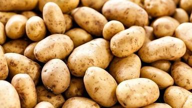 Round Indian Origin Fresh Potato With High Nutritious Values