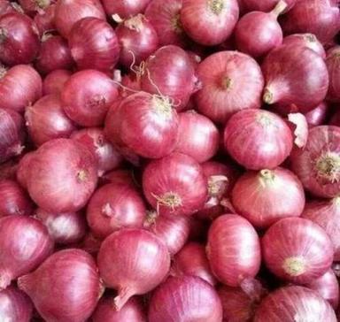 Round Organic Fresh Brown Onion Vegetables, Vitamin B6, Vitamin C And Dietary Fibers